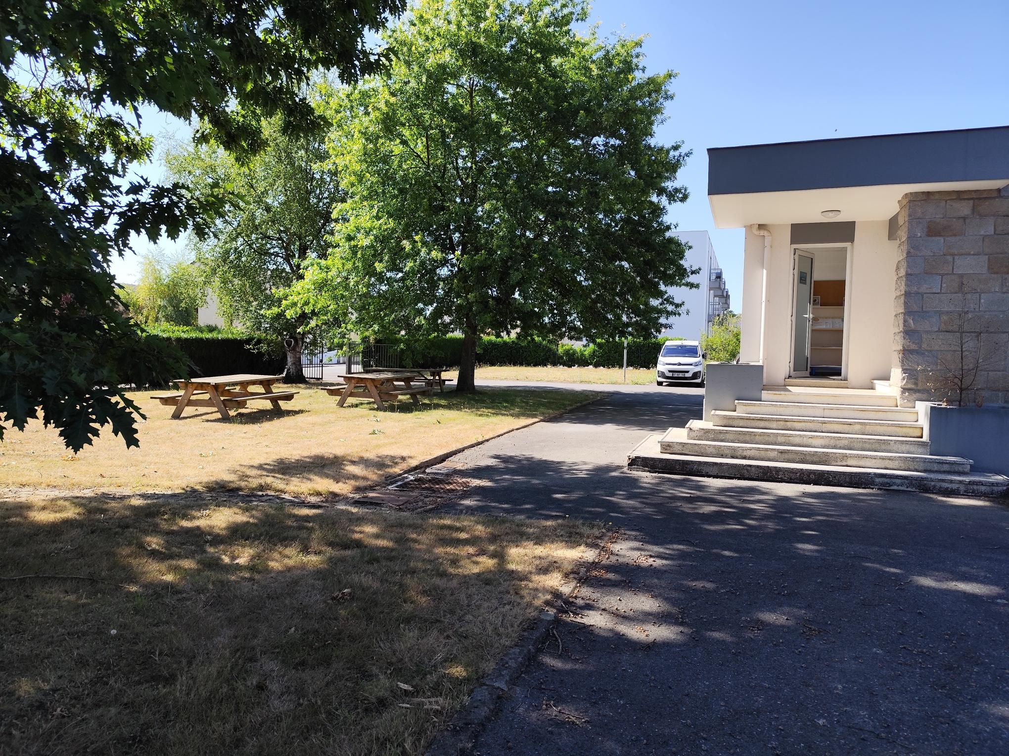 IMG 20250709 104918 IFSO