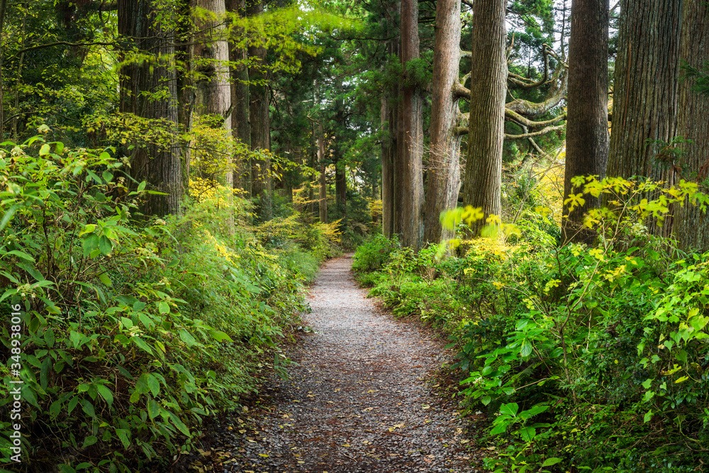 Saint-Gildas-des-Bois