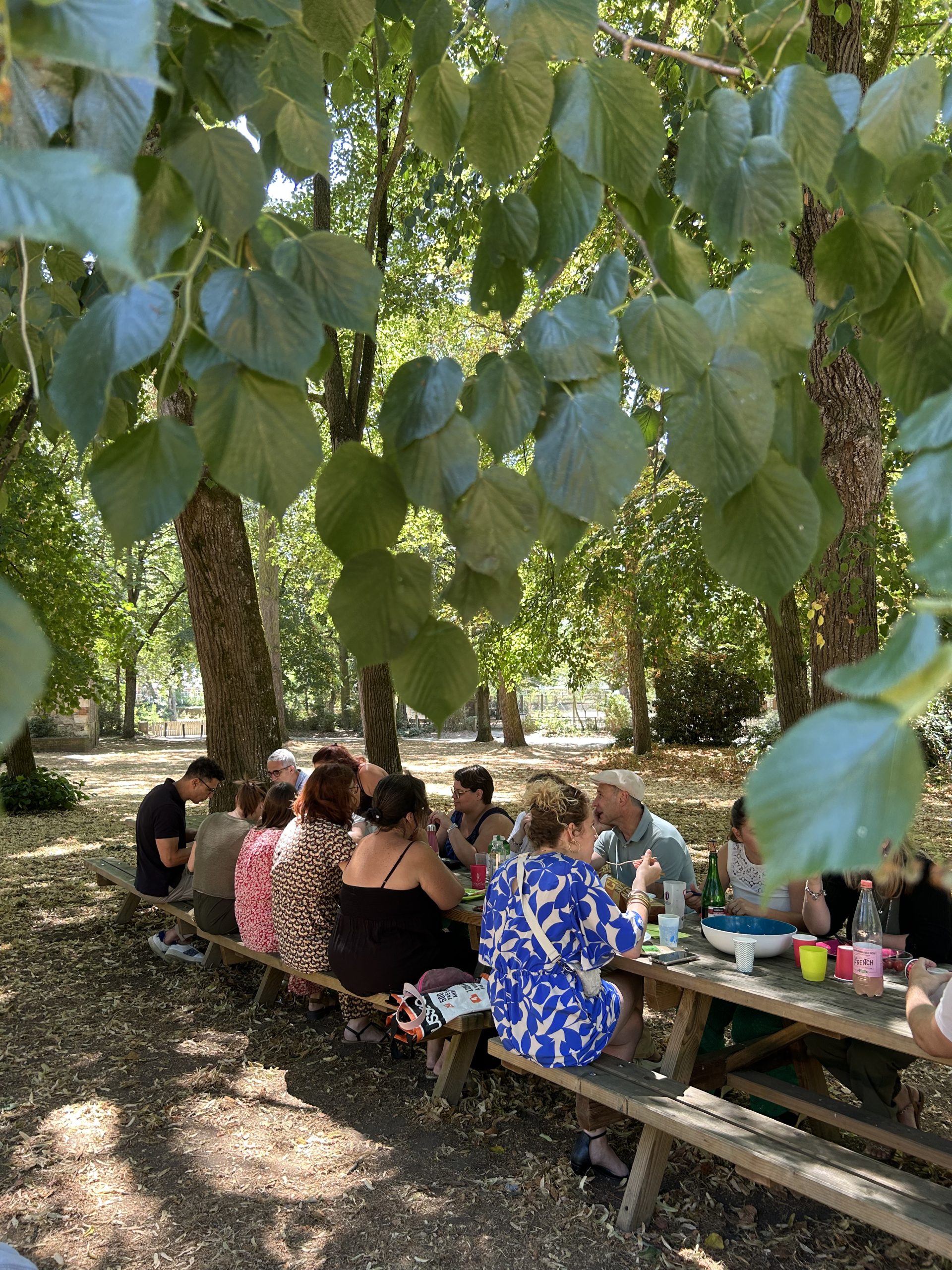 IMG 2531 scaled IFSO