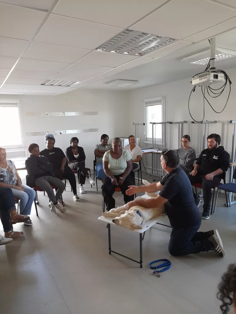 20230918 154058 IFSO