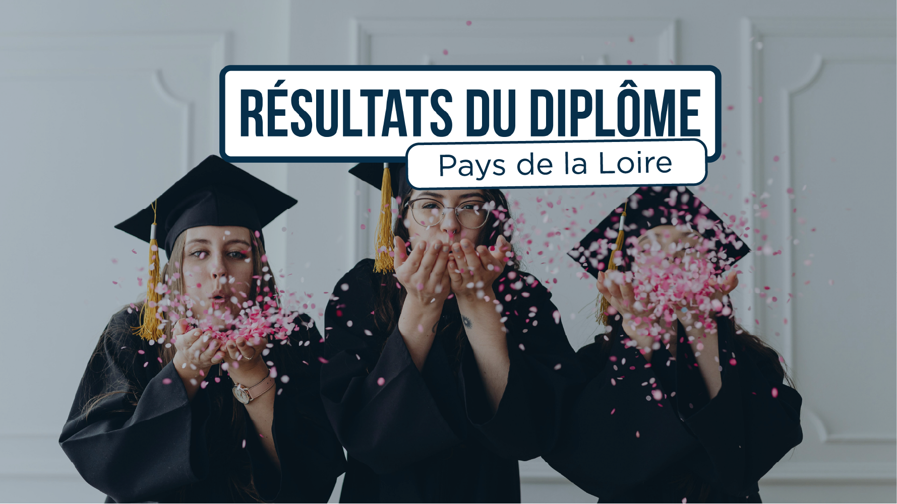 Résultats diplome aide-soignant pays de la loire